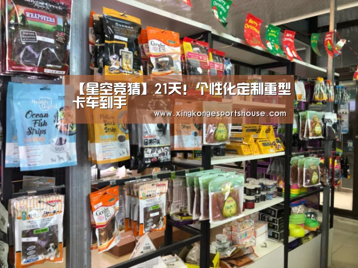 【星空竞猜】21天!个性化定制重型卡车到手(图1) 星空下载