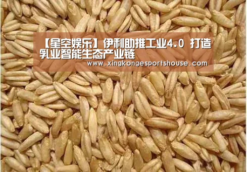 【星空娱乐】伊利助推工业4.0 打造乳业智能生态产业链(图1) 星空竞猜