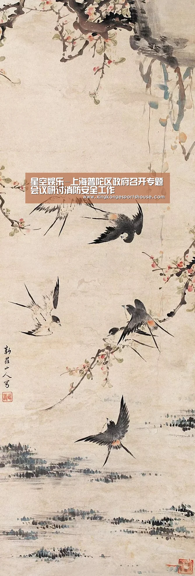 星空娱乐