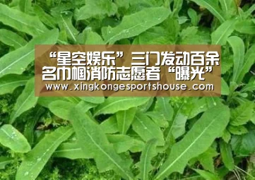 “星空娱乐”三门发动百余名巾帼消防志愿者“曝光”火患(图1) 星空娱乐