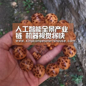 星空下载