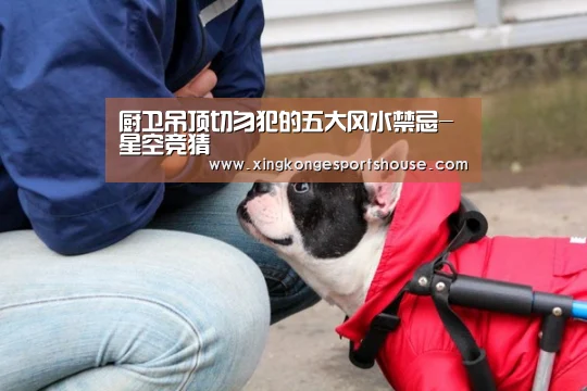 厨卫吊顶切勿犯的五大风水禁忌-星空竞猜(图1) 星空竞猜
