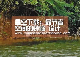 星空下载:最节省空间的装修 设计最合理的布局(图2) 星空竞猜