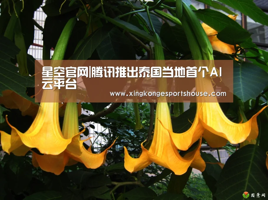 星空官网|腾讯推出泰国当地首个AI云平台(图2) 星空竞猜